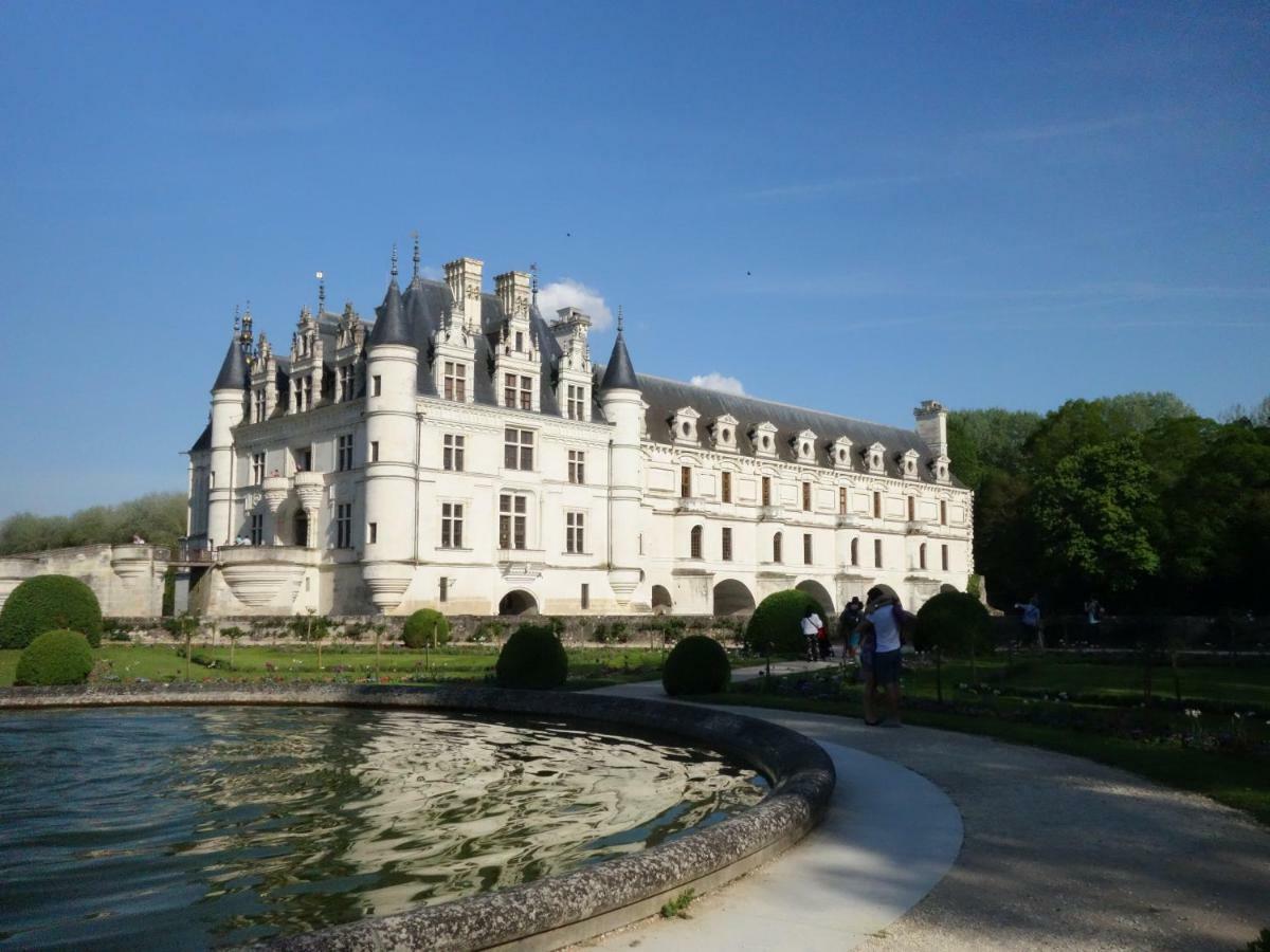 2 Pieces Proche Beauval Et Chateaux Montrichard Exteriör bild